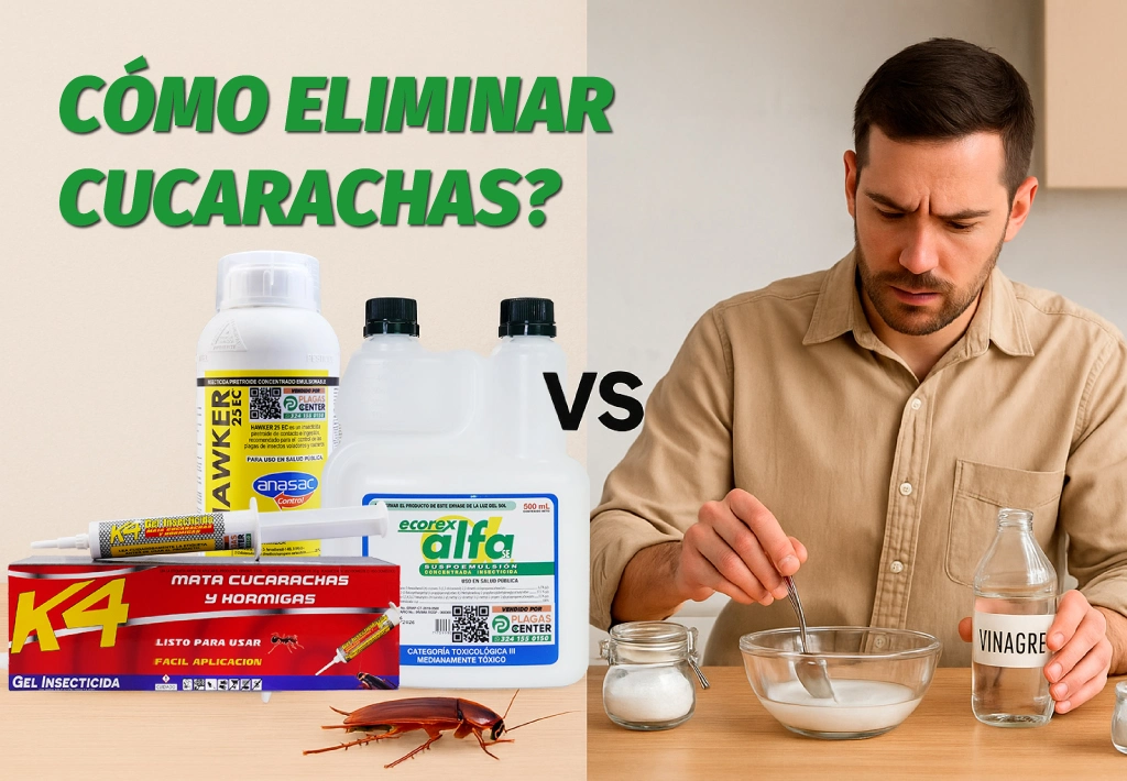 Cómo Eliminar Cucarachas: Remedios Caseros vs Productos Profesionales