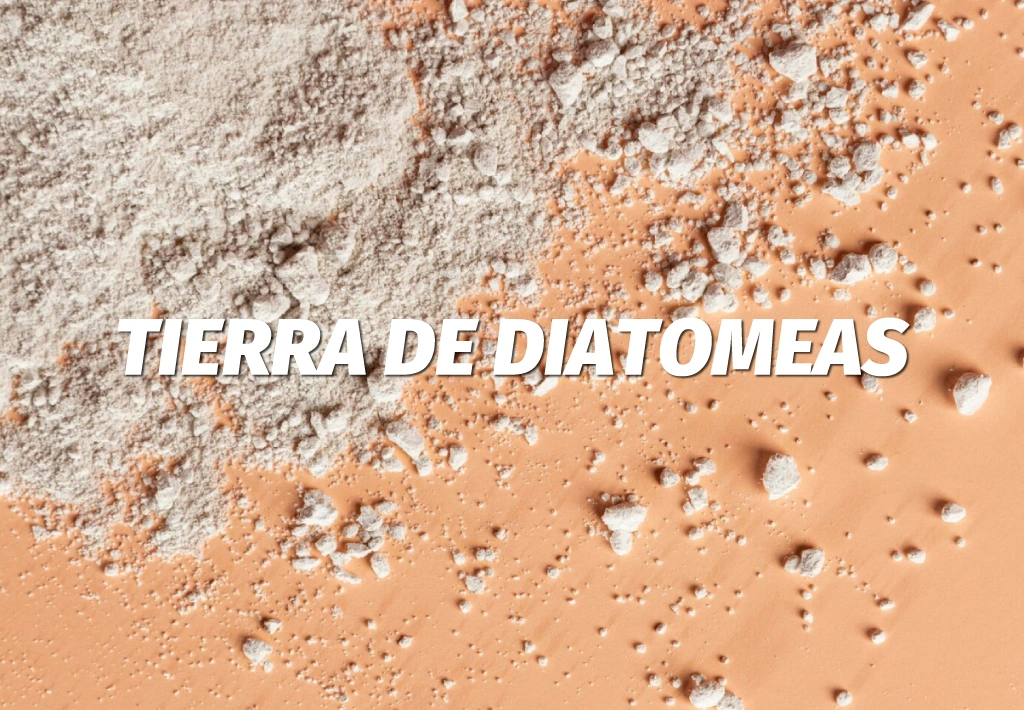 Tierra de Diatomeas: Guía Completa sobre Usos, Beneficios y Dónde Comprarla en Colombia