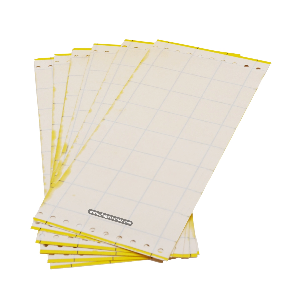 trampa adhesiva para moscas Gomin Fly 3 trampa adhesiva para moscas Gomin Fly - Imagen 3